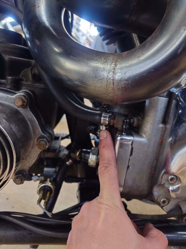 画像に alt 属性が指定されていません。ファイル名: wp-17740973790436637350697803076343-768x1024.jpg